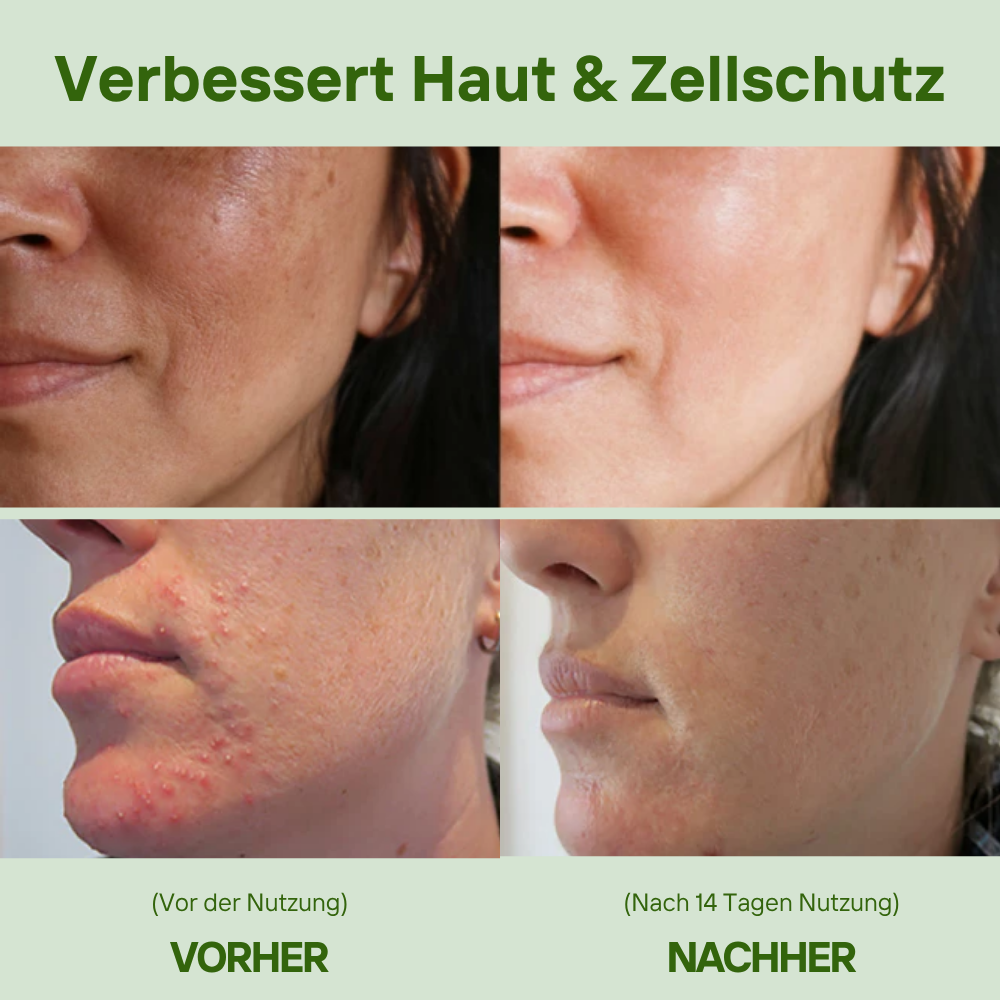 Alimora - MoringaPure