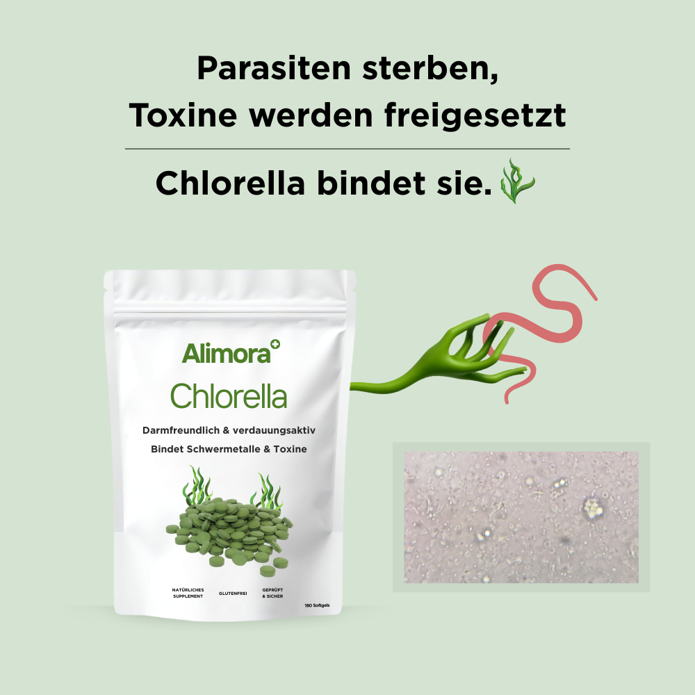 Alimora - Parasiten Detox Bundle