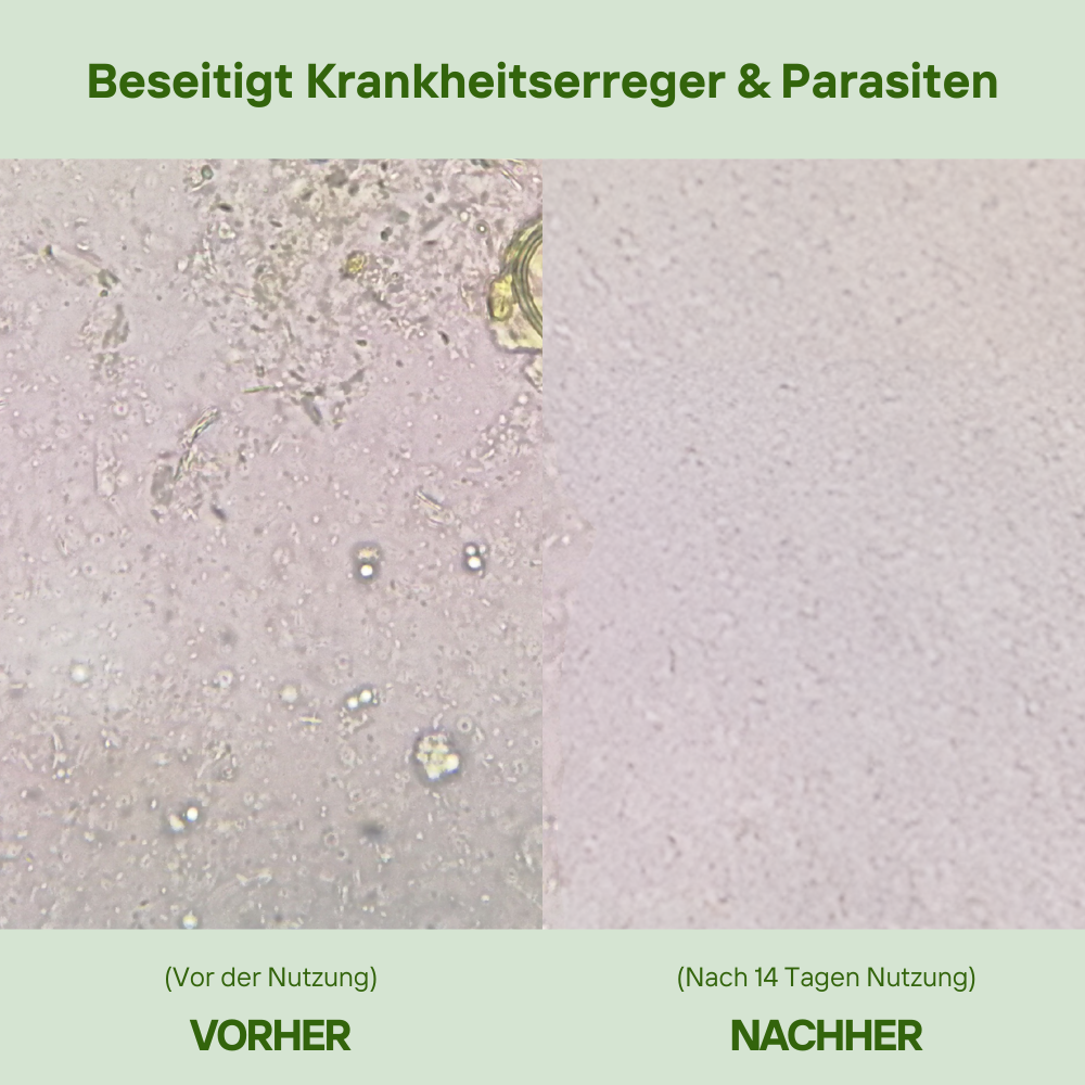 Muttertag Aktion - OregaMix