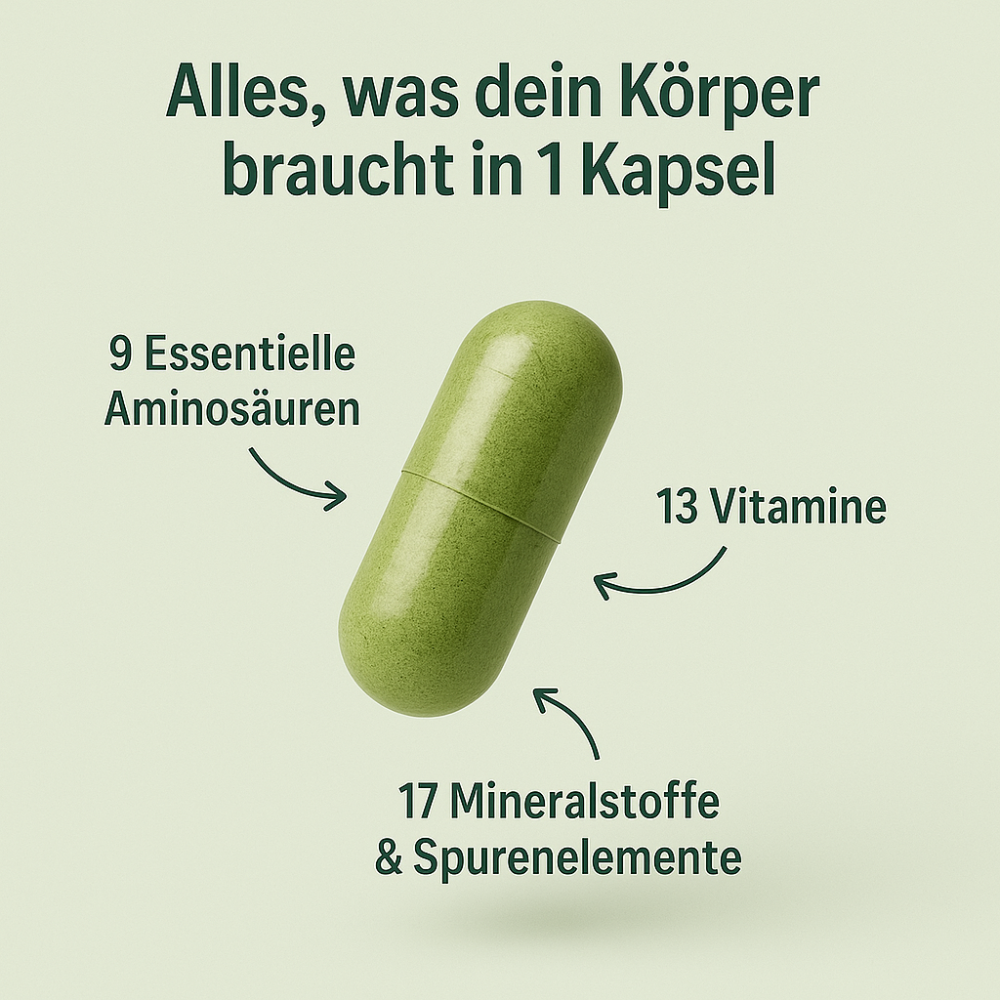 Alimora - MoringaPure